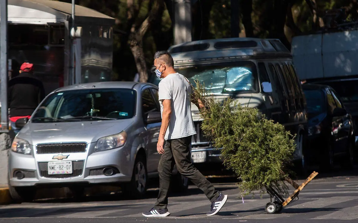 852580_Centro Reciclaje Árboles de Navidad-1_web